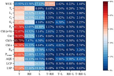 High temperature inhibits photosynthesis of chrysanthemum (Chrysanthemum morifolium Ramat.) seedlings more than relative humidity